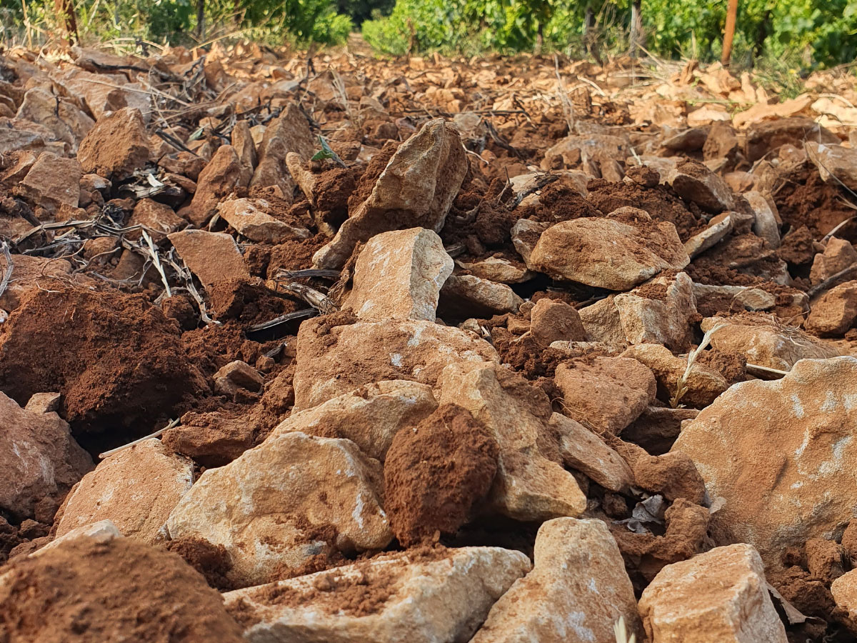 Vin de Rasteau, un terroir incomparable